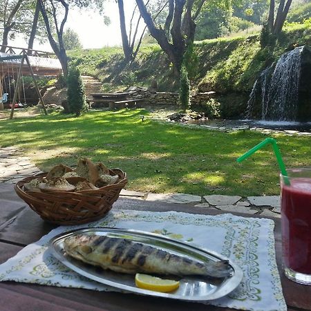 דירות Gradac  Gradacka Banja Brvnare מראה חיצוני תמונה